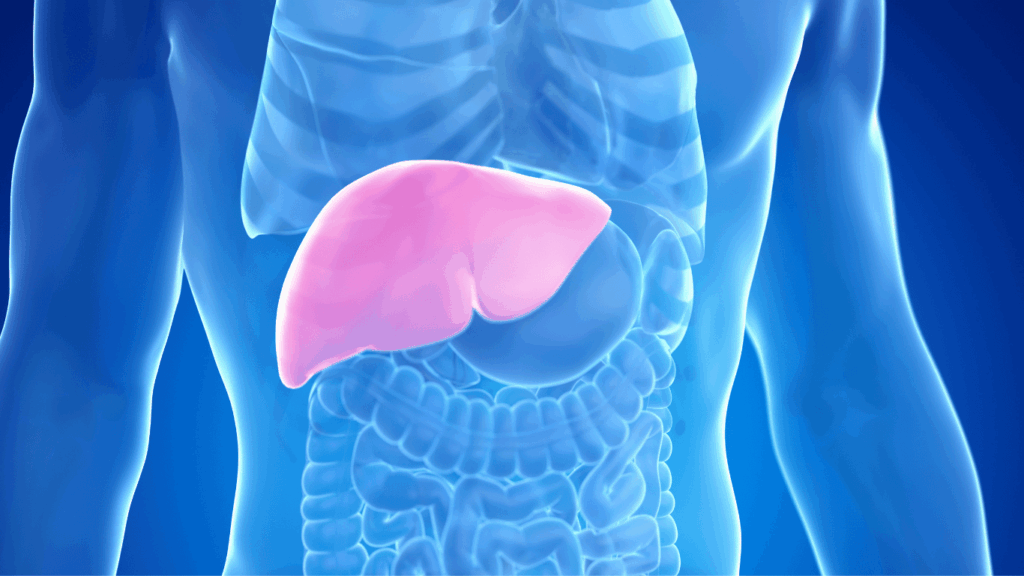 Sindrome Metabolica: cos’è, come riconoscerla e sfatare i falsi miti